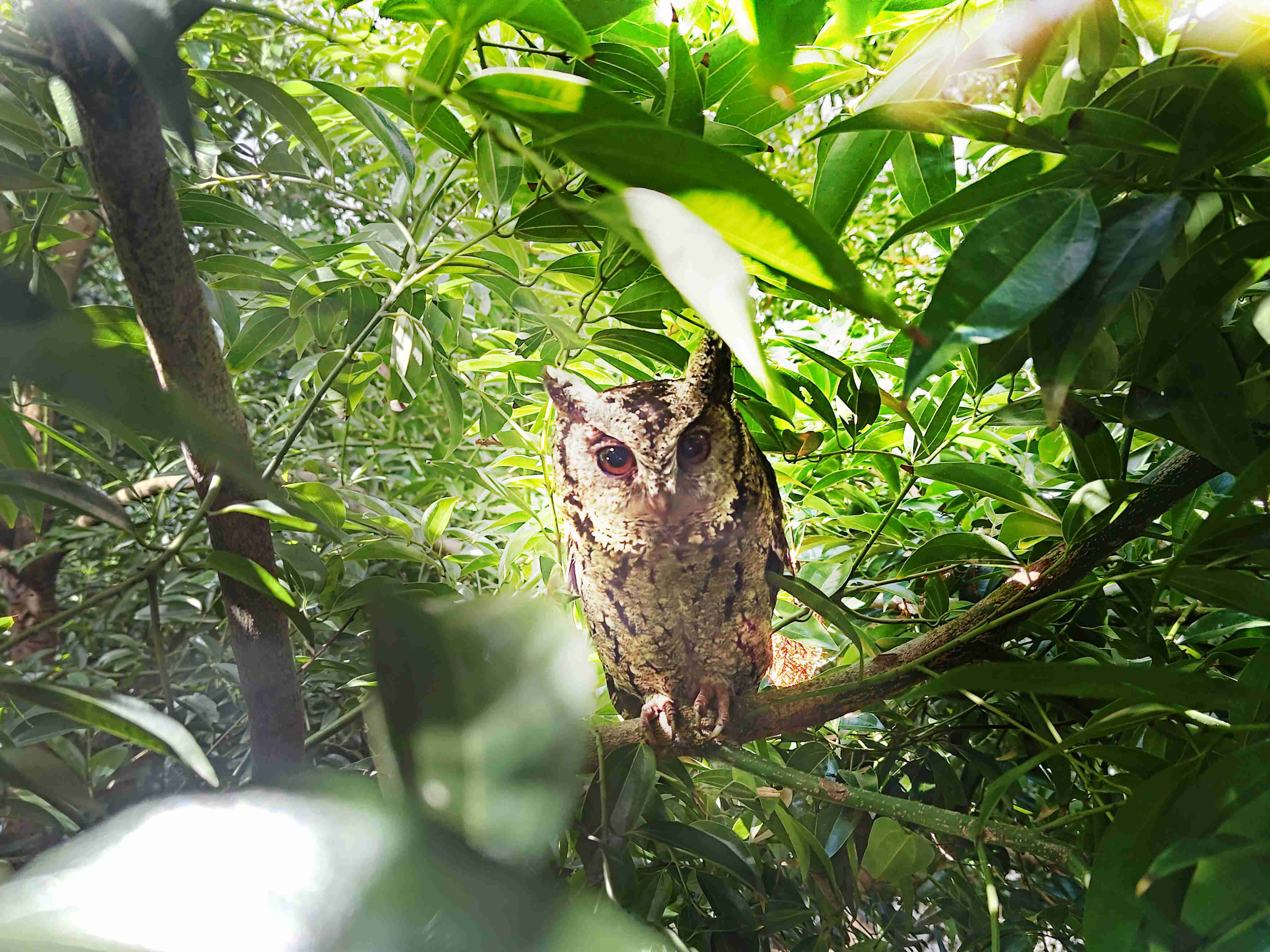 尊龙集团致力提倡净零绿生活，，16年以来在全球各厂区植树逾百万棵，，造就各厂区树木蔚然成林，，，，犹如森林工厂，，，，成为许多生物的栖息地